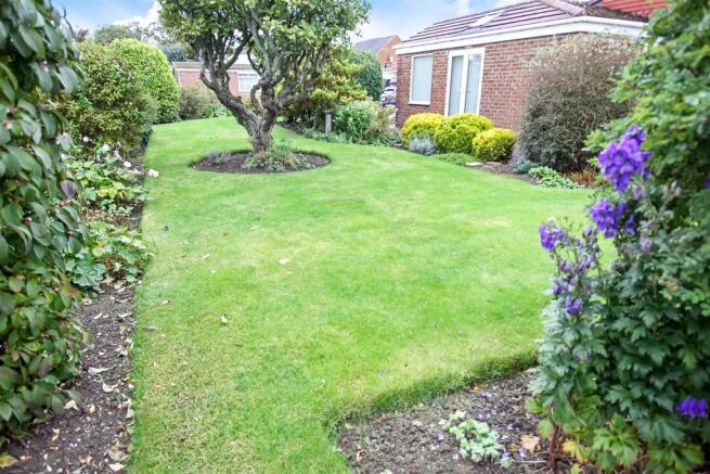 Garden (2).jpg