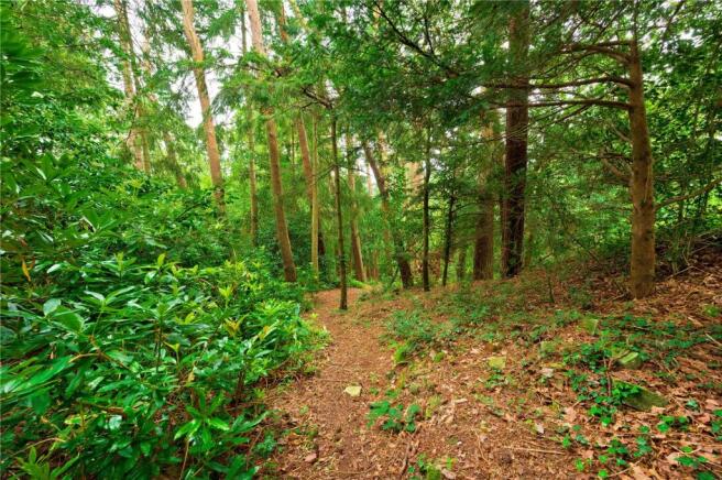 Communal Woodland