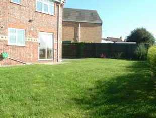 The Rear Garden