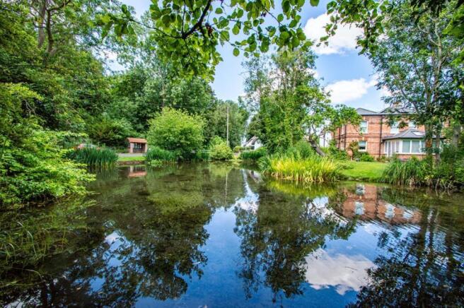 Village Pond
