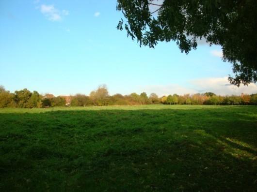 Nearby Park
