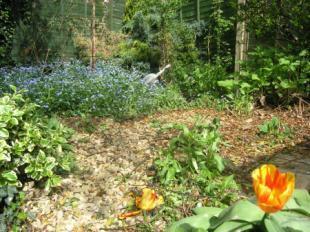 Gardens