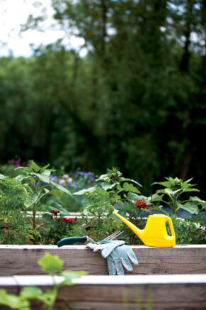 Allotments