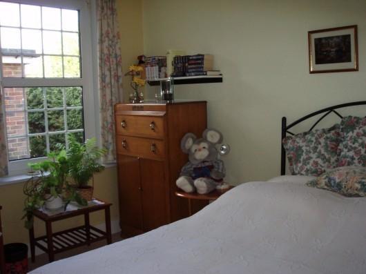 Photo 7