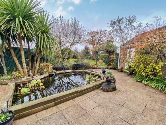 patio and garden