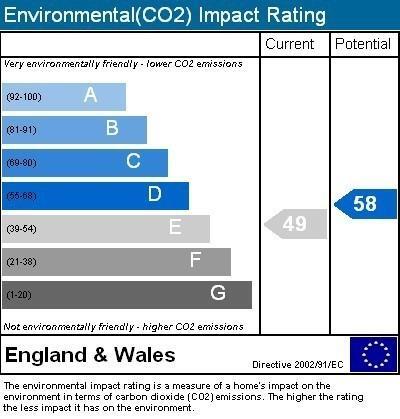 Environmental Impact