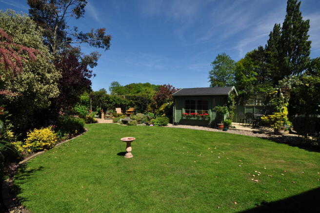 Photo 12