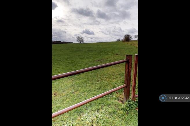 Open Field Very Close