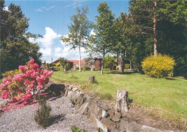 Rear Garden Pic 3