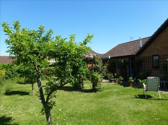 Photo 9