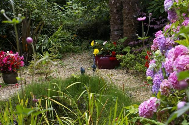 Garden