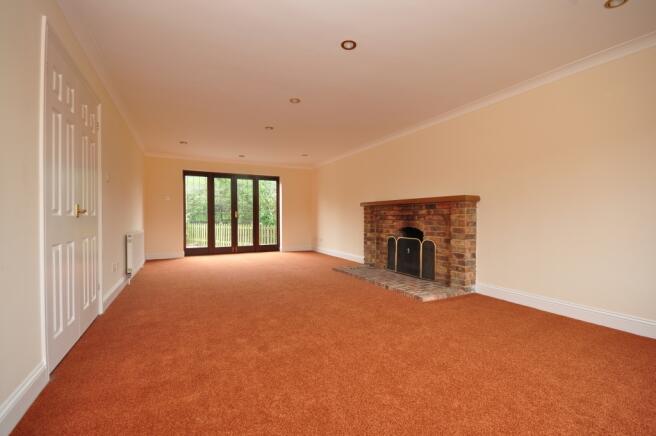 Feature Fireplace