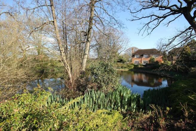 Pond