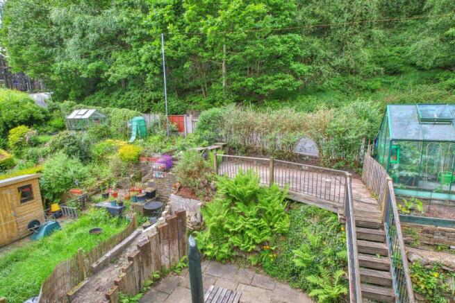 Garden at Back