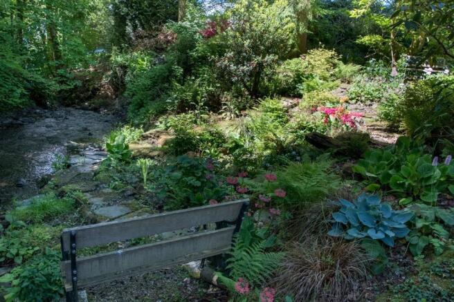 Stream 