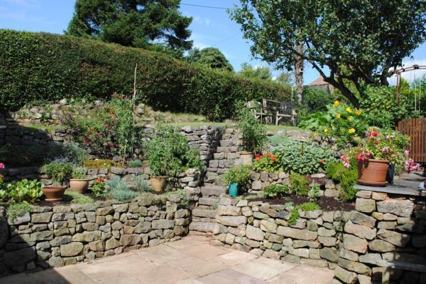 Rear Patio