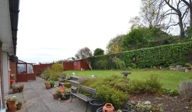 rear garden4.jpg
