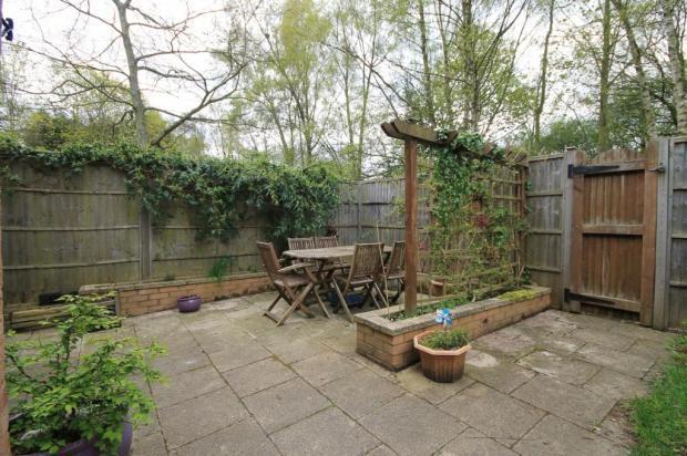 Garden Pic 2