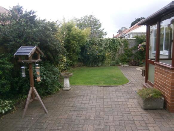 Image 11