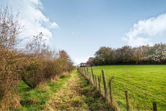 Woodland