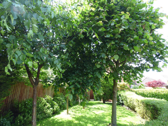 Front Garden