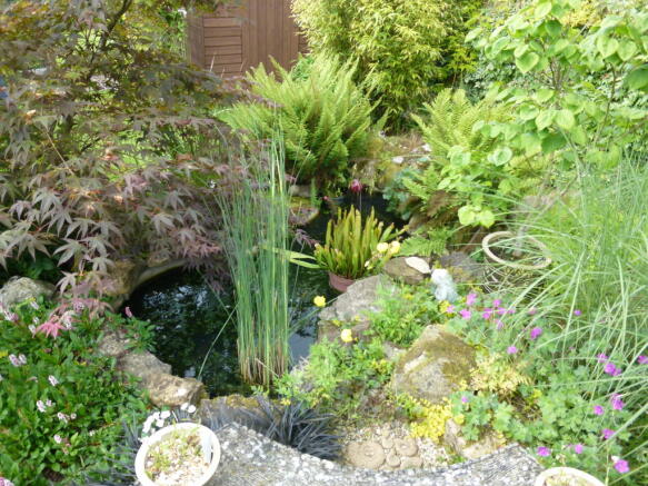 Photo 14