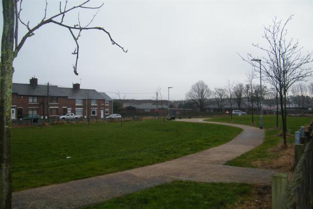 Photo 8
