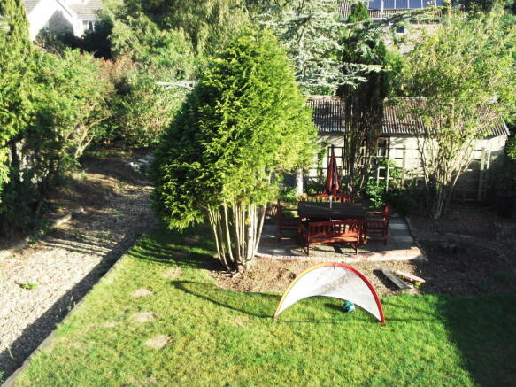 Photo 11