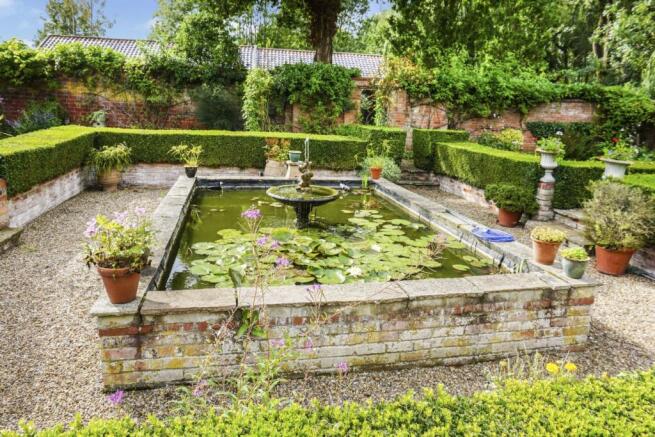 Lilly Pond
