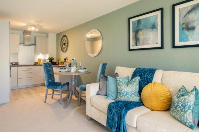 Show home living room