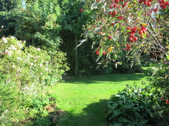 Photo 23