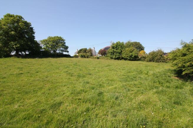 side field