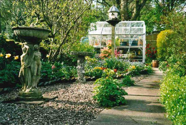 garden.
