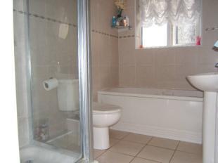 Picture No.23