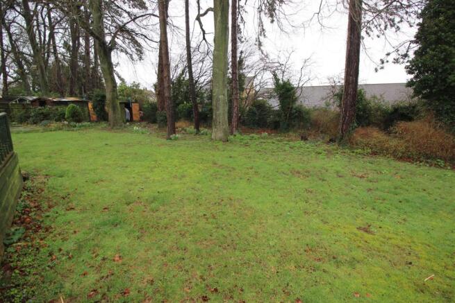 Garden from Decked Area
