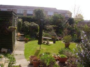 Garden View 1