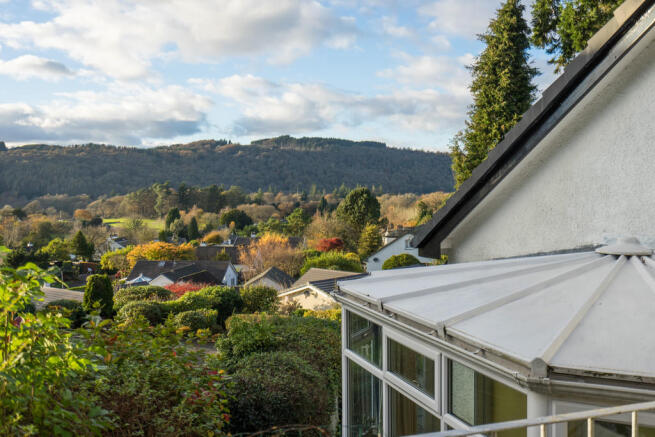 View from garden