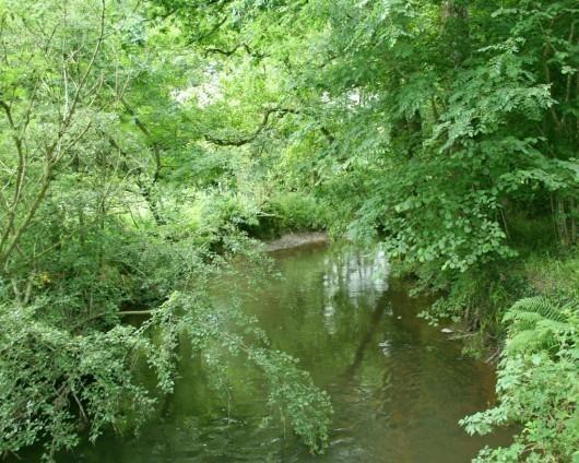 River