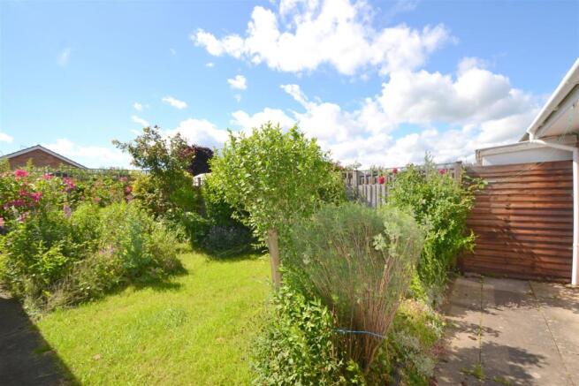 garden.JPG