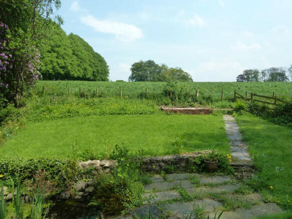 Picture 11