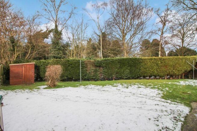Garden at Back