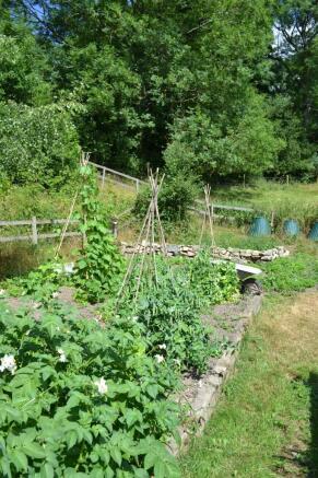 Veg garden