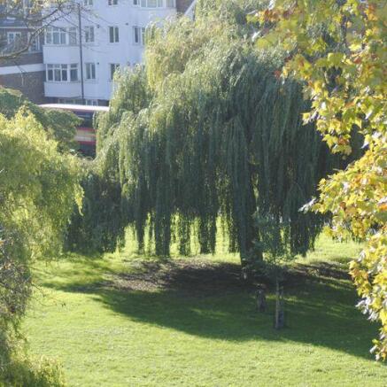 View of Peckham Rye