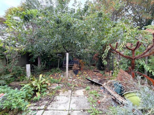 Rear Garden 250