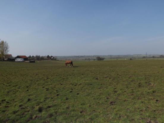 Paddock View
