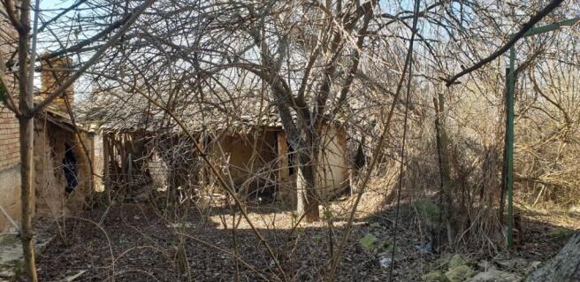 View of an overgrown garden area with leafless trees and an old outbuilding with a tiled roof in the background.