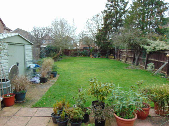 Photo 15