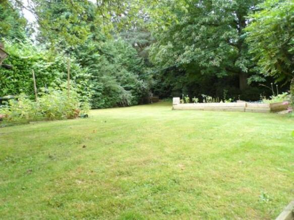 Garden 3