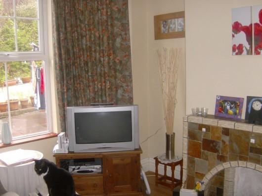 Photo 4