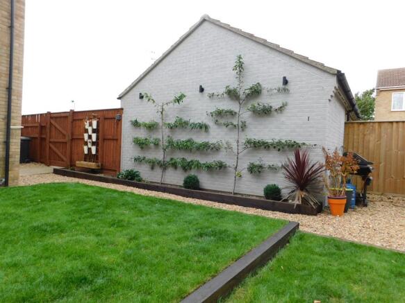 garden 6